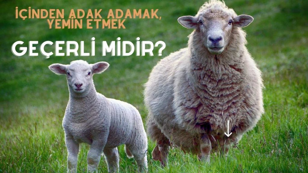 İçinden Adak Adamak, Yemin Etmek Geçerli midir?
