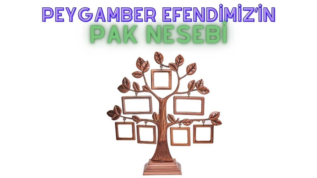Peygamber Efendimiz’in Pak Nesebi